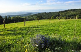 Hochplateau Naturpark Jauerling, © Robert Herbst