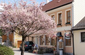 Gasthof zur Kirche, © Gasthof zur Kirche