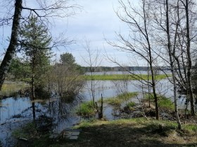 Winklauerteich Heidenreichstein, © Gerhard Kirchmaer