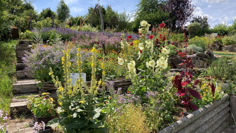 Schaugarten Bienen & Blumen Huber, © Maria Huber