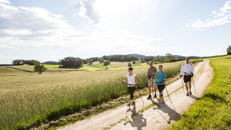 Wandern, © Gesundheitshotel Klosterberg