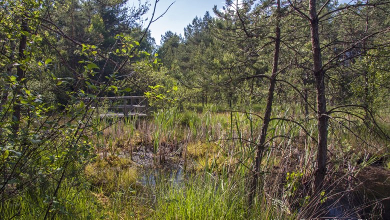 Nature Park Schrems, © UnterWasserReich, Sonja Eder