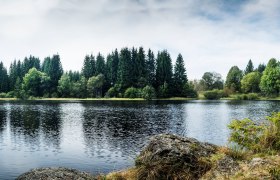 Edlesberger See, Gutenbrunn, © © Niederösterreich Werbung, Michael Liebert