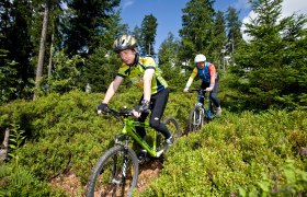 Mountainbiken Waldviertel, © © ARGE MTB NÖ, Leo Himsl