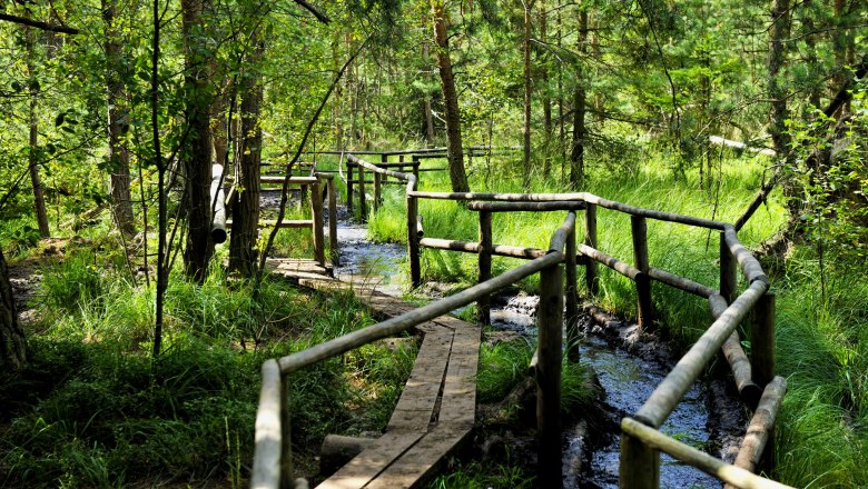 Nature Park Heidenreichstein, © POV