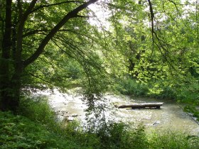 Mühlenweg, © Waldviertel Tourismus