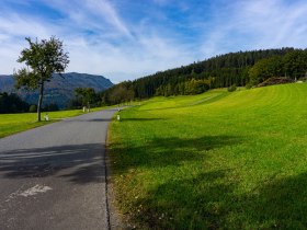 Weg nach Gsteinert, © Gottfried Grossinger