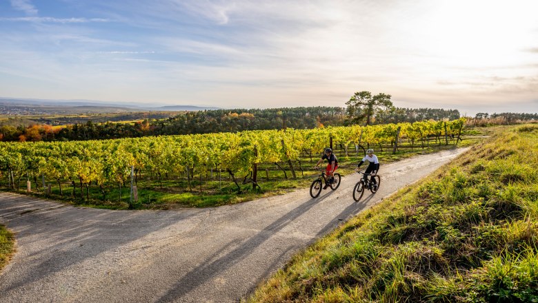 Geführte Mountainbiketour, © Ursin Haus / Robert Herbst