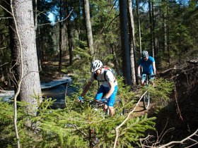 Steinhübel-Strecke, © Verein Fun Bike Oberes Waldviertel-Südböhmen