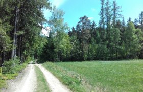 Wegabschnitt in Richtung Kapelle Grametten, © Erich Mader