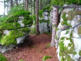 Steingigantenweg, © Waldviertel Tourismus