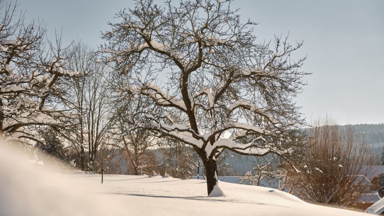 Winterruhe, © Mathias Lixl