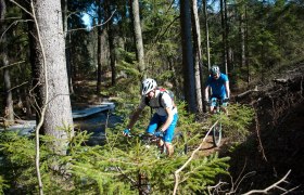 Steinhübel-Strecke, © Verein Fun Bike Oberes Waldviertel-Südböhmen