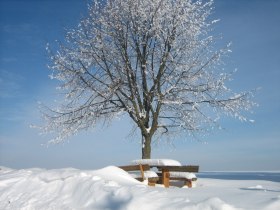 Verschneiter Rastplatz, © Brigitte Millner