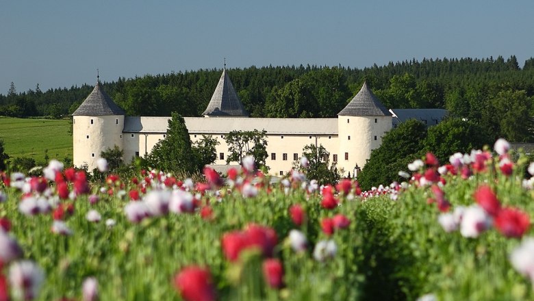 Schloss Ottenschlag, © Ing. Martin Rehberger