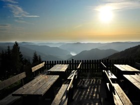 Wachauterrasse, © Wachau-Nibelungengau-Kremstal