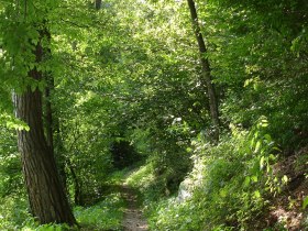 Holzhackerweg, © Waldviertel Tourismus