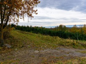 Blick auf den Schneeberg und ins Alpenvorland, © Gottfried Grossinger