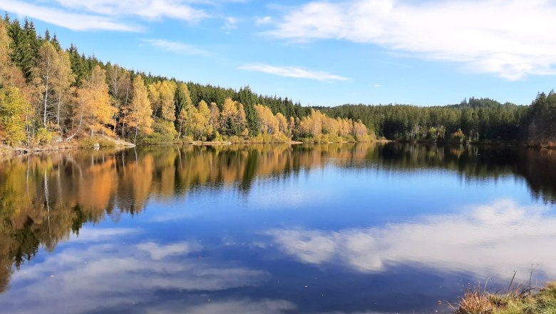 bei Bärnkopf, © Steiner