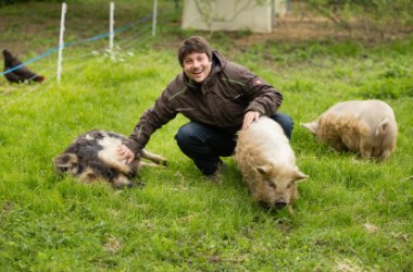 Schweine streicheln, © Edingermühle