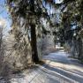 Wintersonne am nahgelegenen Edlesbergerteich, © Dieter Juster