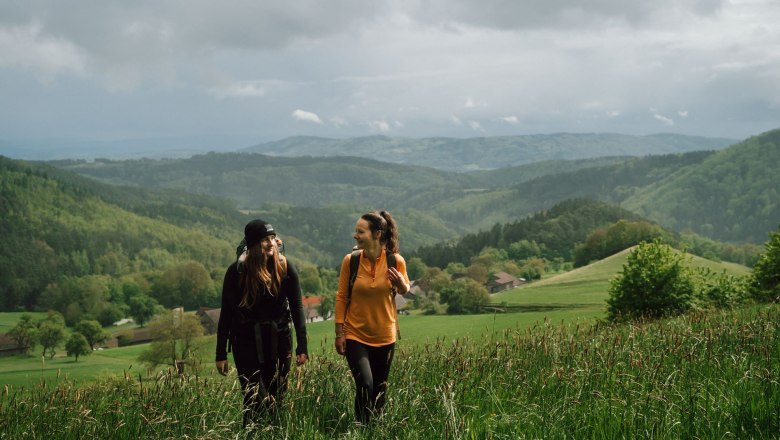 Wandern am Lebensweg, © Waldviertel Tourismus, Melanie Többe