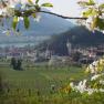 Wachau, © Jutta`s Ferientraum, Günter Prohaska