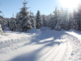 Zilleck-Loipe 4, © Waldviertel Tourismus