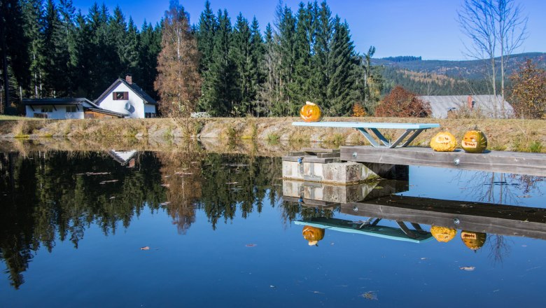 Hausansicht Herbst, © Chalet-Nordwald, Fotograf Angela Hauler