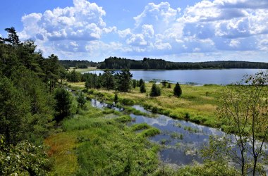 Přírodní park Heidenreichsteiner Moor, © POV