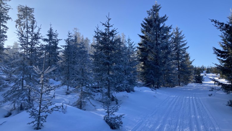 Langlaufen in Gutenbrunn seit 50 Jahren, © Dieter Juster