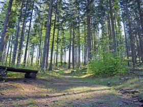 Weltkugel-Wanderweg, © © Stadtgemeinde Groß Gerungs