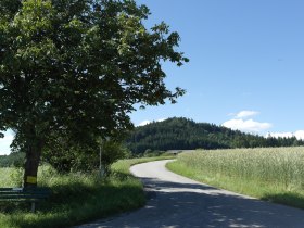 Toberspitzweg, © Marktgemeinde Nöchling