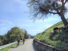 Yspertaler Höhenstraße, © Gemeinde Yspertal