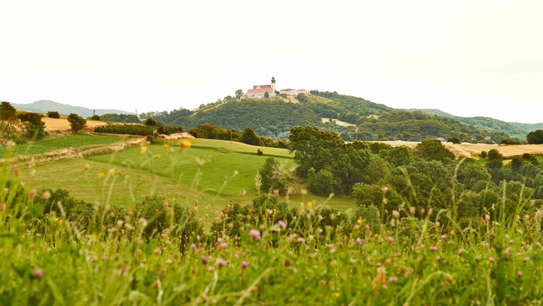 Maria Taferl im Sommer, © Klaus Engelmayer