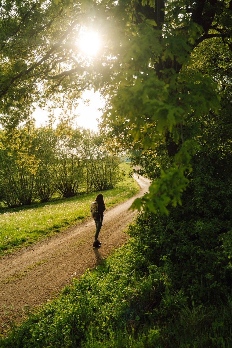 Wandern am Lebensweg, © Waldviertel Tourismus, Melanie Többe