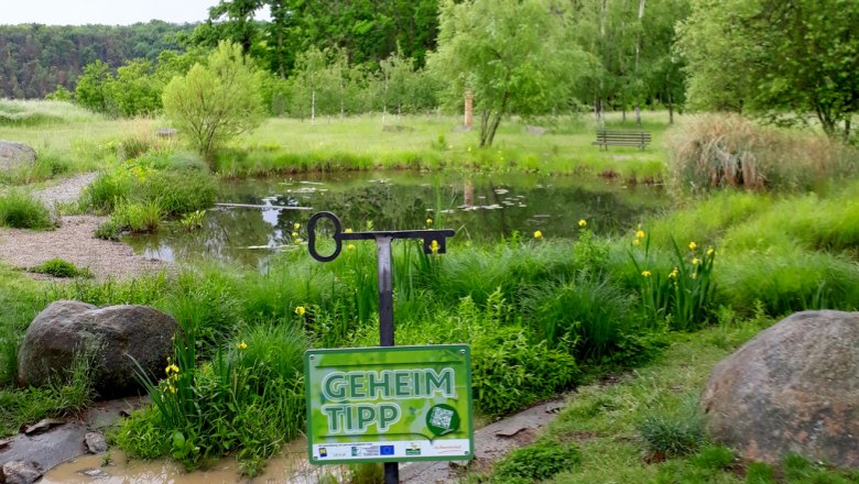 Libellenteich in Limberg, © Stadtgemeinde Maissau