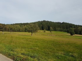 Dorfweg, © Marktgemeinde St. Martin