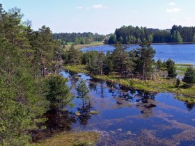 Winklauerteich im Naturpark Heidenreichsteiner Moor, © Horst Dolak