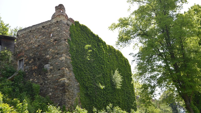 Stadtmauer, © Stadtgemeinde Zwettl