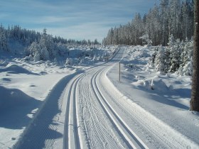 Langlaufen Gutenbrunn, © © Gustl Marschall jun.