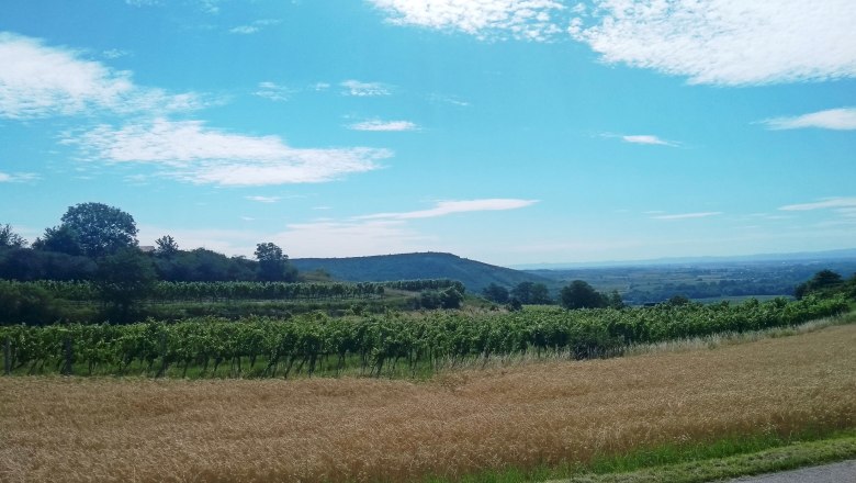 View of the Zöbing-Kogelberg site, © Franz Pieler