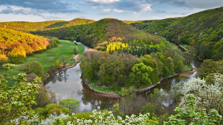 Umlaufberg im Frühling, © Nationalpark Thayatal, R. Mirau