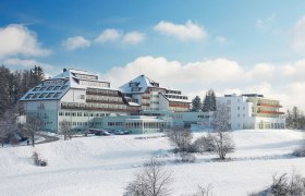 Winter in Groß Gerungs, © Herbert Baumgartner