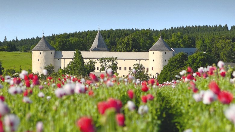 Heuriger im Schloss, © Marktgemeinde Ottenschlag