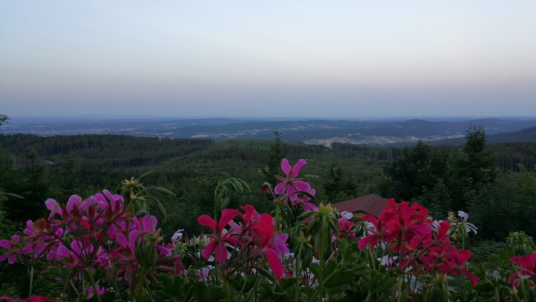 Ausblick Nebelsteinhütte, © Karin Hruska