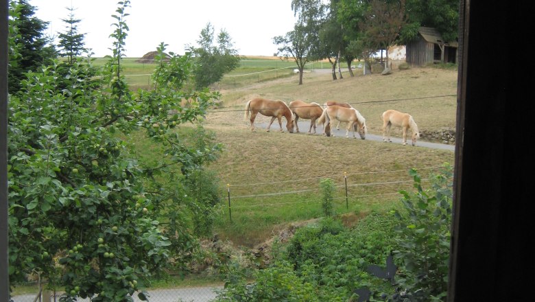 Blick vom Garten, © Andreas Dworan