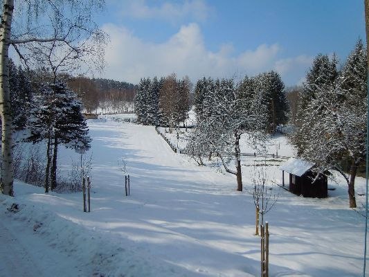 Die Hauswiese im Winter, © Ferienhaus Angel, Fotograf Heidi Angel