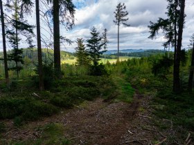 Blick nach Aschelberg und Braunegg, © Gottfried Grossinger