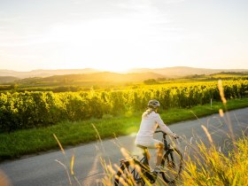 Radfahren im Kamptal, © POV Robert Herbst